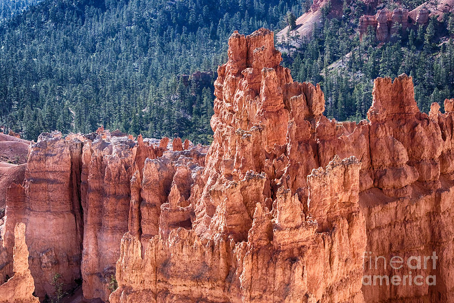 Bryce Canyon Utah Views 524 Photograph