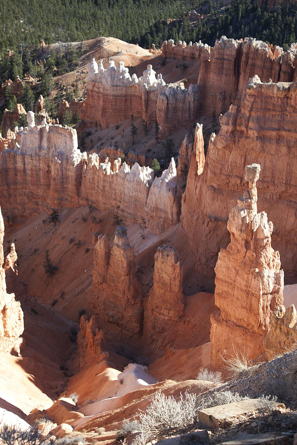 Bryce Canyon View Photograph by Ivete Basso Photography