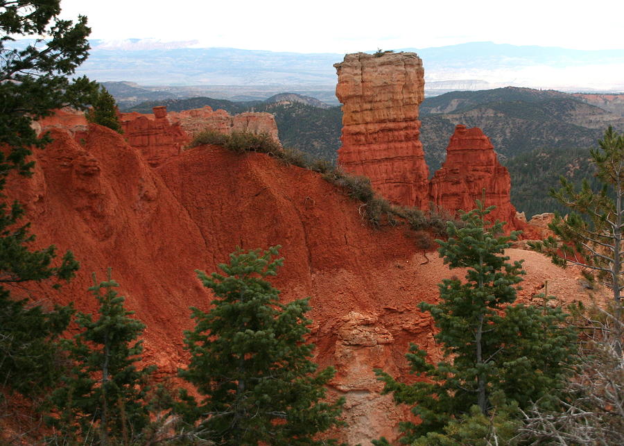 Bryce Canyon View Photograph by Laurel Talabere - Fine Art America