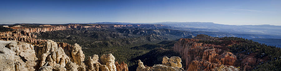 Bryce Canyon Vista Photograph by Heather Applegate