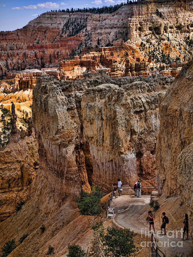 Bryce Canyon Walking Trail Photograph by Brenda Kean