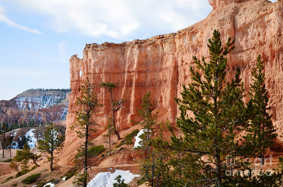Bryce Canyon National Park Photograph - Bryce Curved Formation Wall by Rincon Road Photography