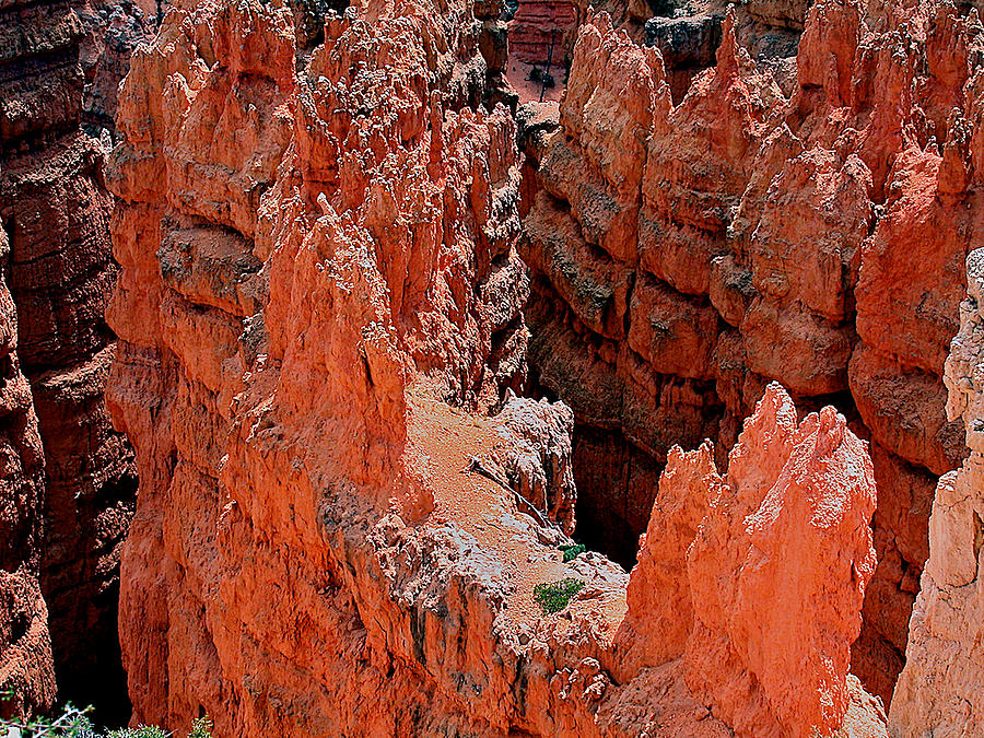 Landscape Photograph - Bryce Detail by Jerry Druhan