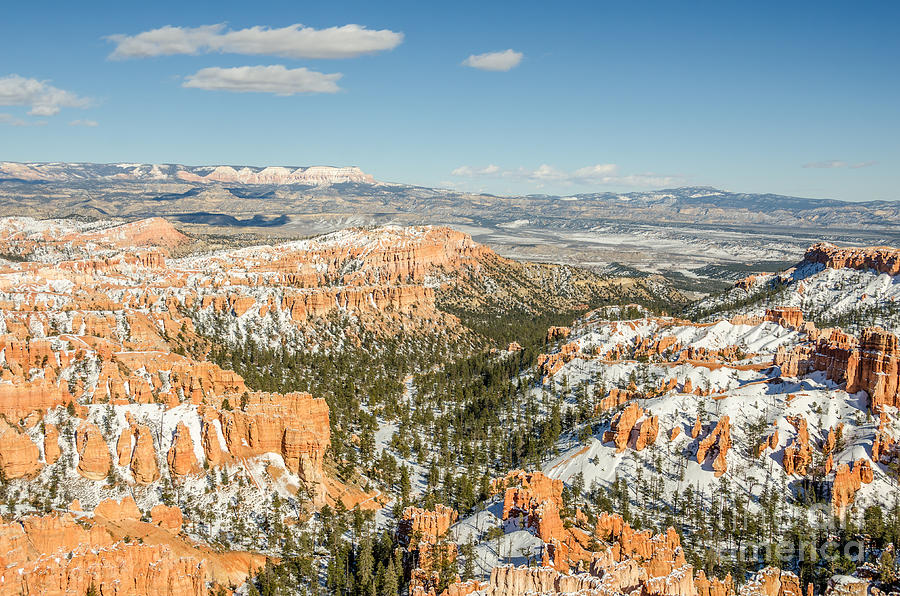 Bryce in Winter Photograph by Sue Smith