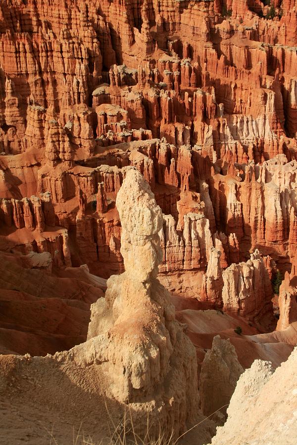 Bryce National Park Utah Photograph by Suzanne Lorenz