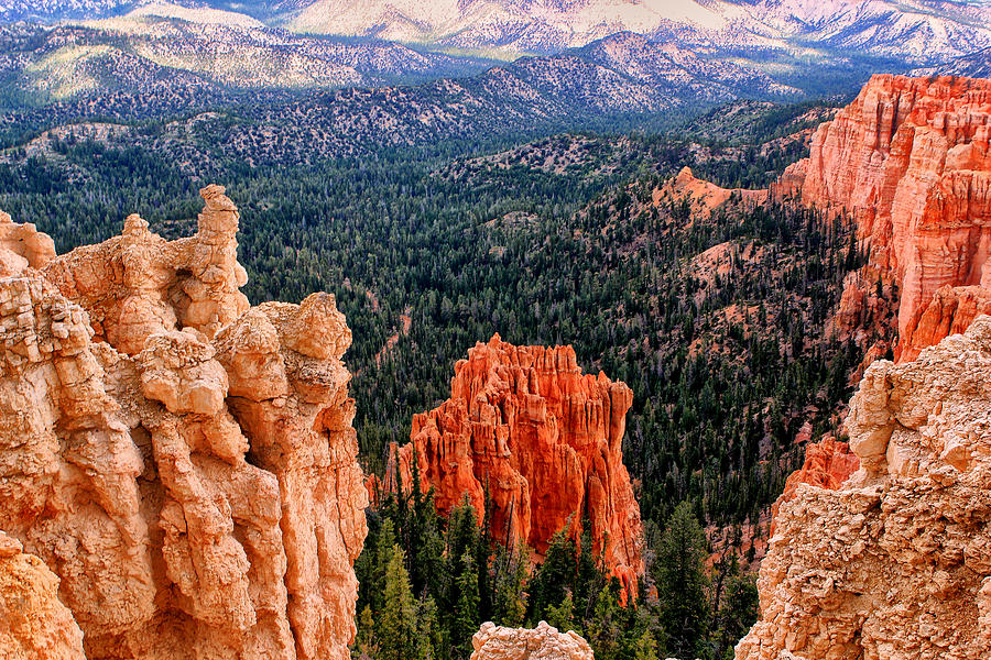 Bryce Canyon National Park Photograph by Tom Prendergast