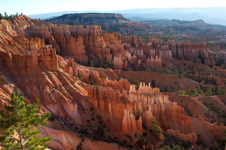 Bryce Photograph by Pamela Schreckengost - Fine Art America