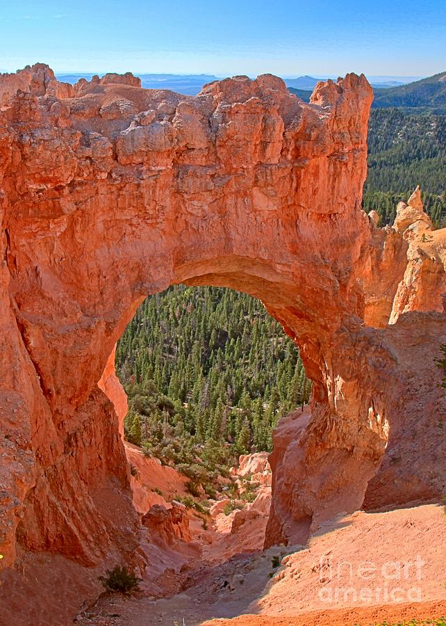 Bryce Pink Arch Photograph by Adam Jewell