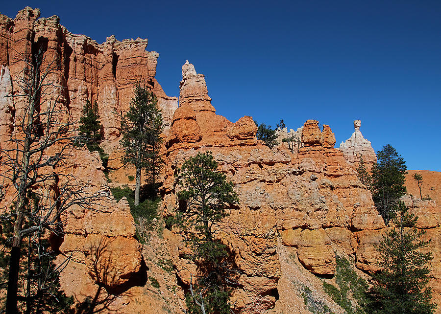 Bryce Pinnacles Photograph by Jemmy Archer