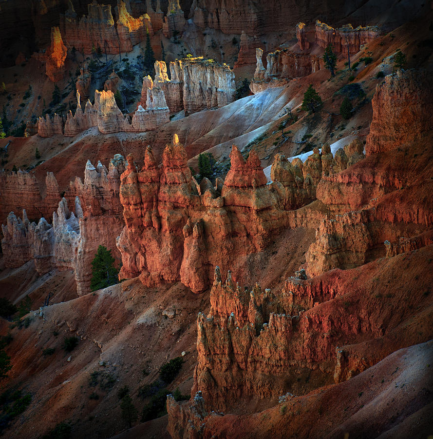 Bryce Point Bryce Canyon Utah Photograph by Gary Warnimont