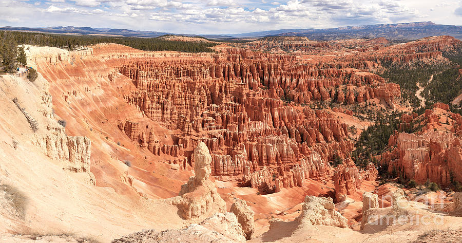 Bryce Point Panorama Photograph by Adam Jewell