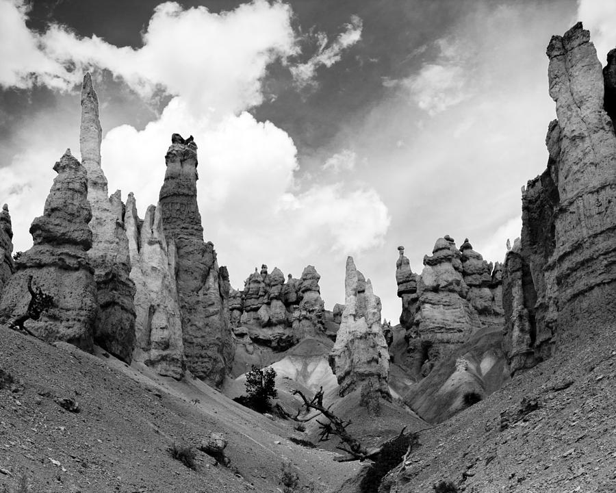 Bryce Sentinels Photograph by Jim Snyder