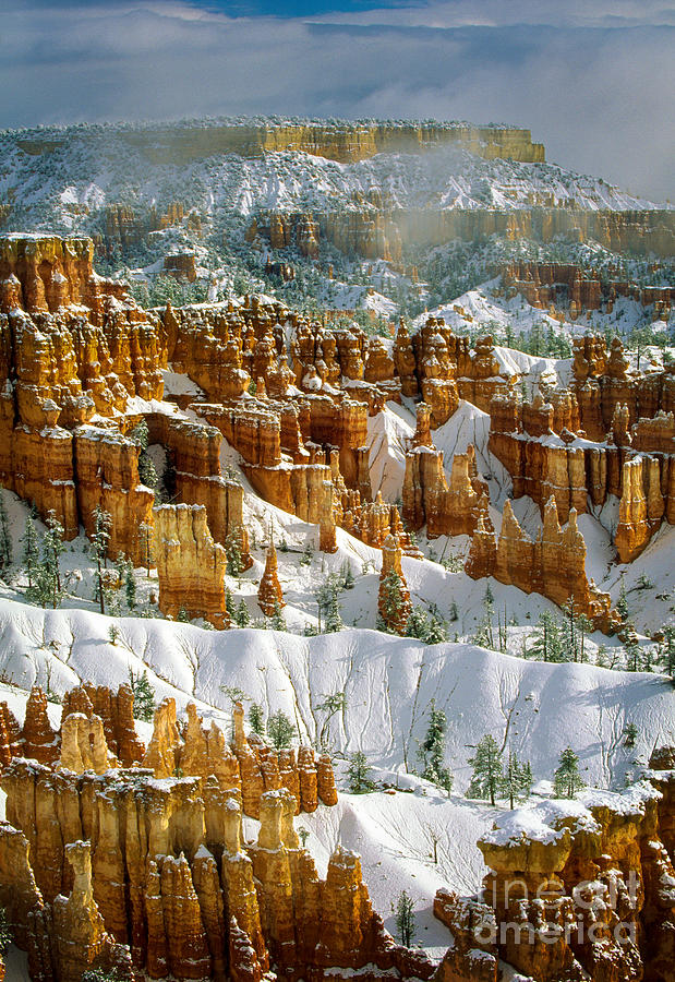 Nature Photograph - Bryce Winter Morning by Inge Johnsson