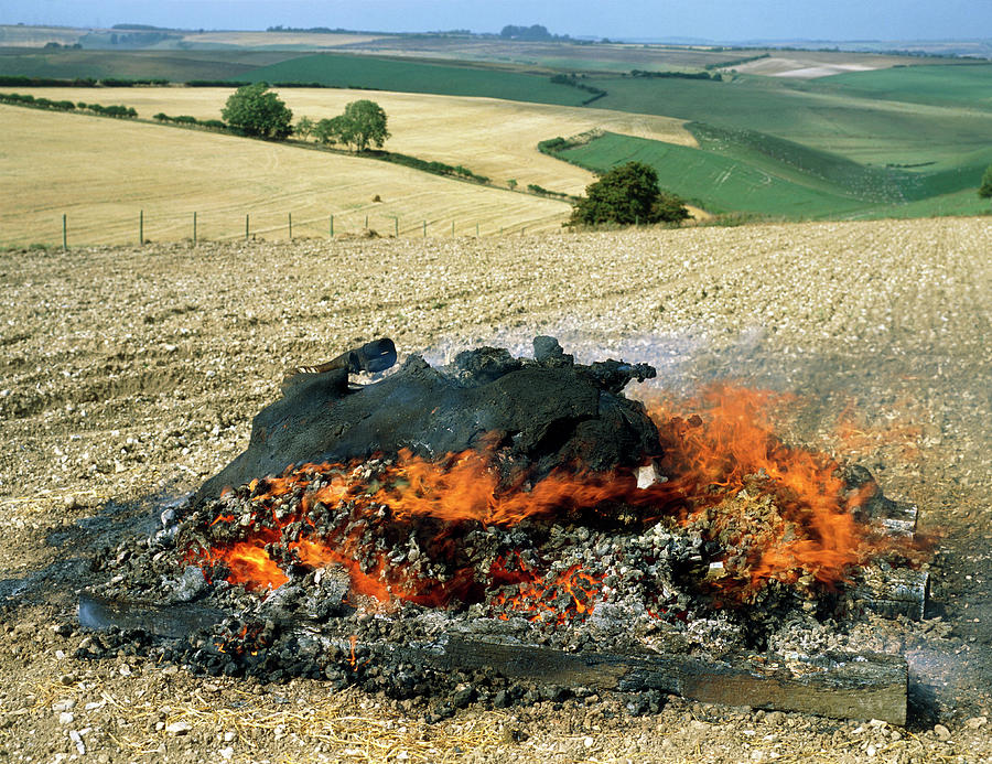 Bse-infected Cow Being Burnt In A Dorset Field Photograph by Sinclair Stammers/science Photo Library