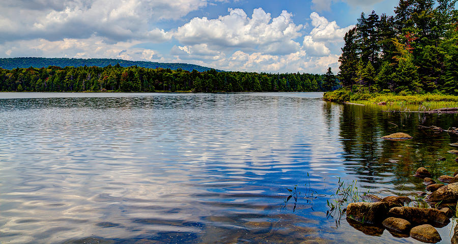Bubb Lake in the Summer Photograph by David Patterson