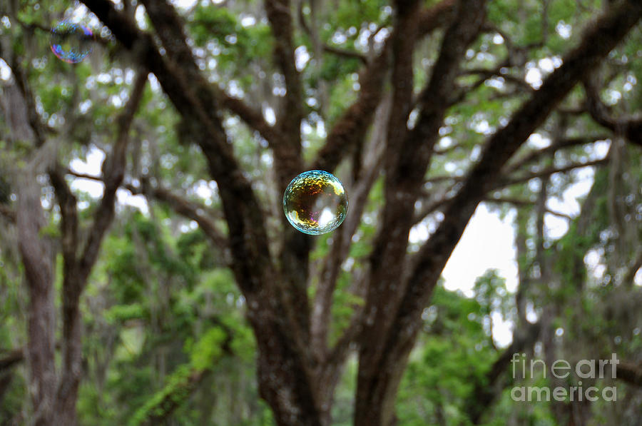 Bubble Photograph by Joanne McCurry