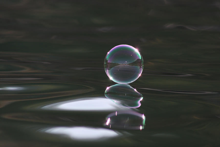 Bubble On The Lake Photograph by Cathie Douglas