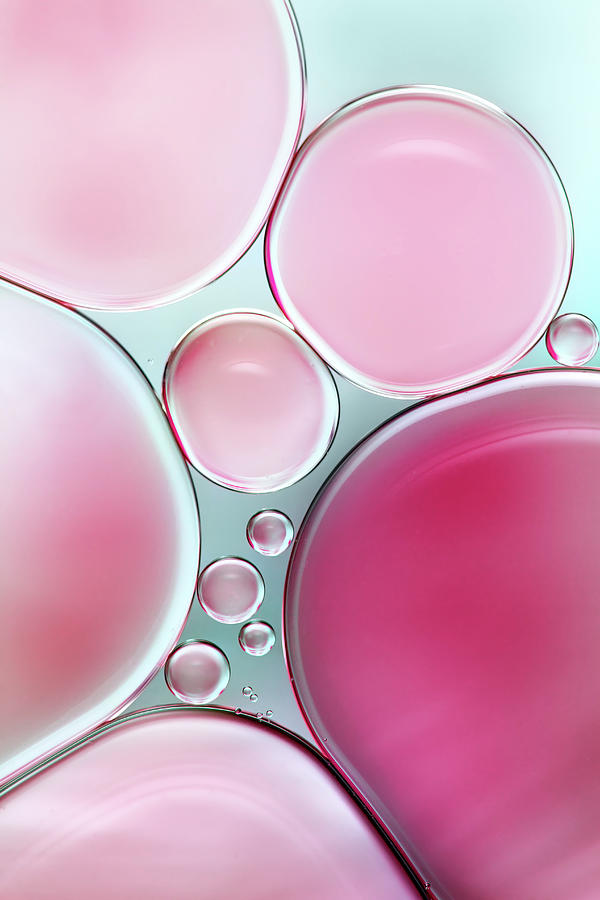 Bubble Pink Photograph by Mandy Disher Photography Bubble Pink Photograph by Mandy Disher Photography