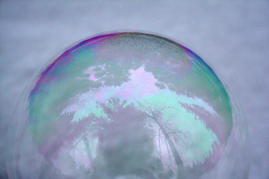 Bubble Snow Dome Photograph by Cathie Douglas