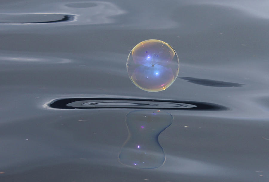 Bubble Warp Photograph by Cathie Douglas