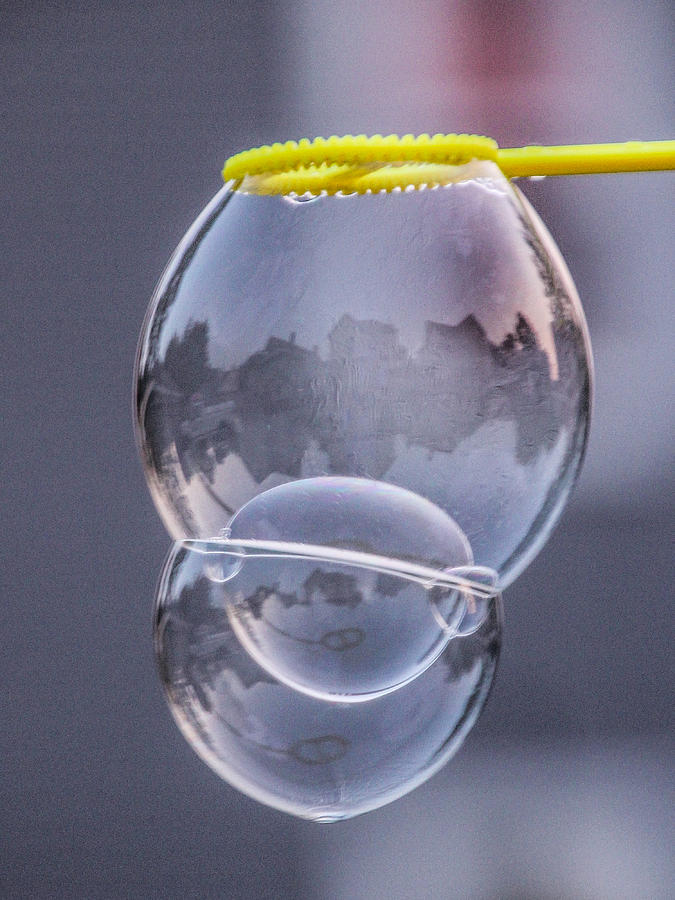 Bubble World Photograph by Cathy Donohoue