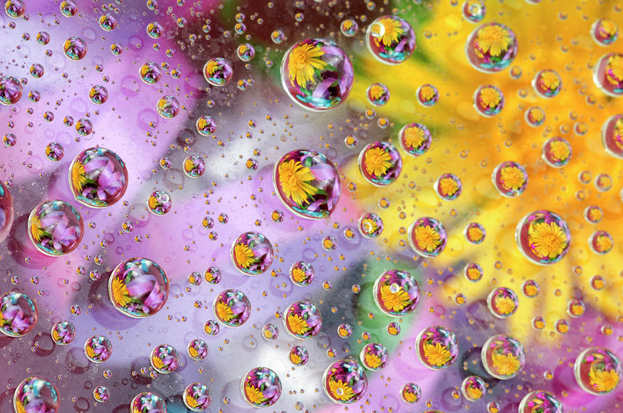 Bubbles Abstract With Flowers Photograph by Jaynes Gallery