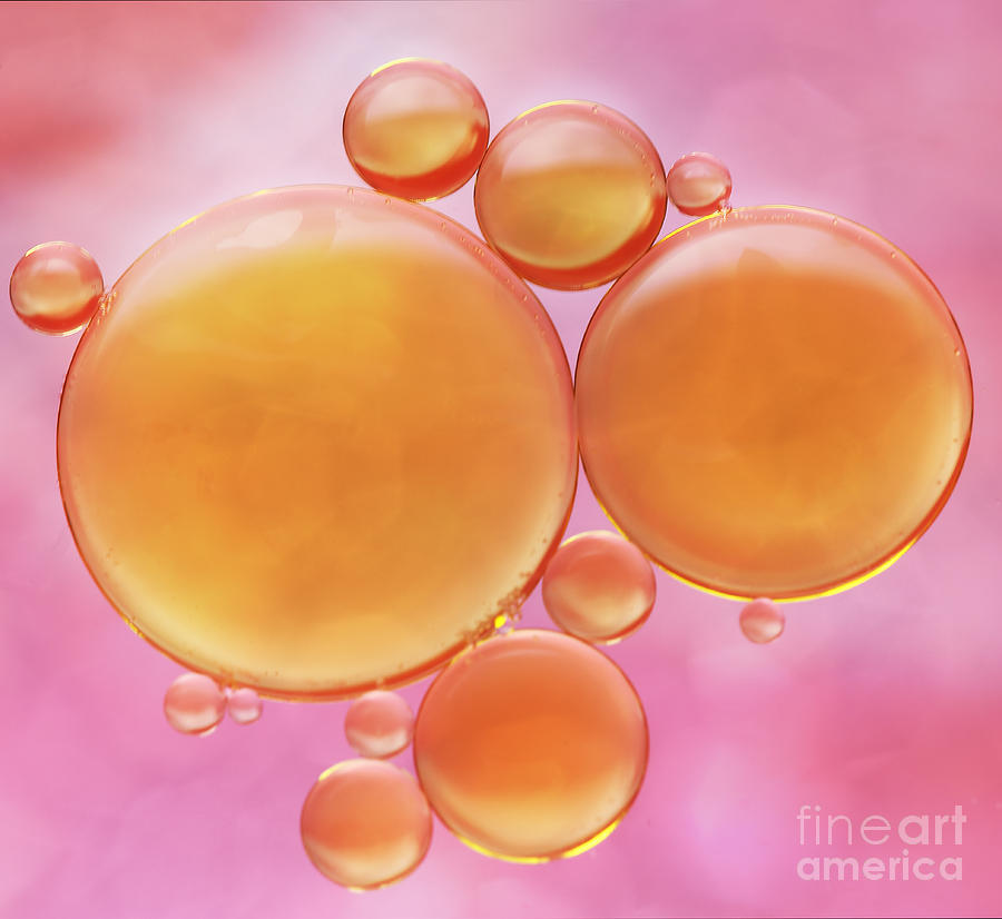 Bubbles Photograph - Bubbles by LHJB Photography