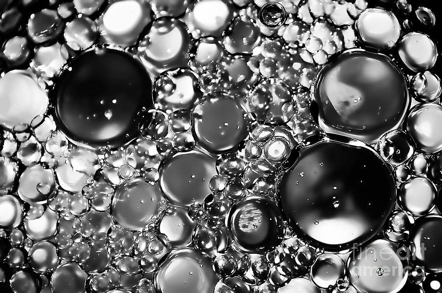 Bubbles in Black and White Photograph by Photos By Cassandra | Fine Art ...