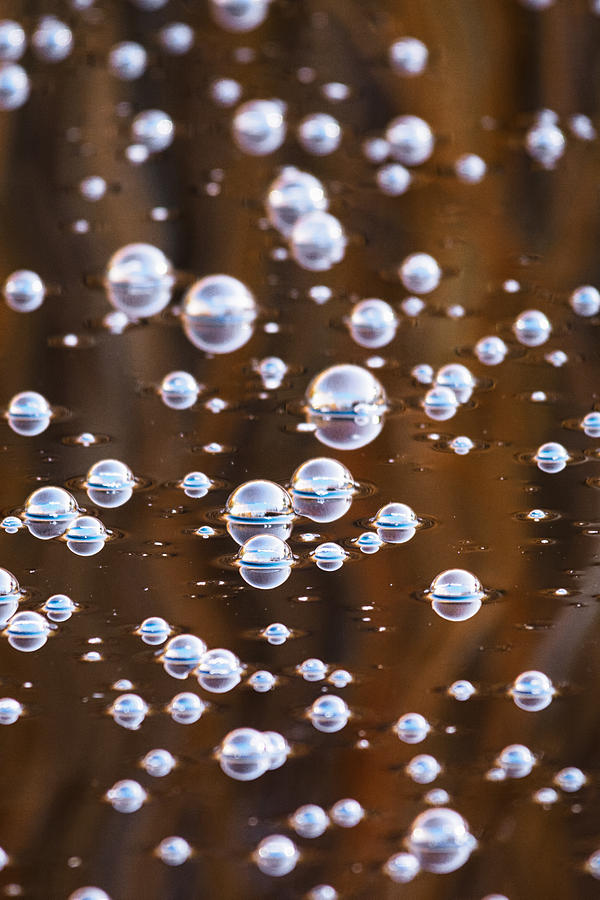Bubbles Photograph by Saija Lehtonen