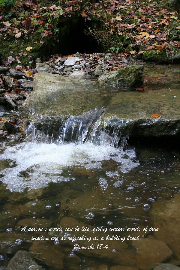 Bubbling Brook Photograph by Tammy Davis | Fine Art America