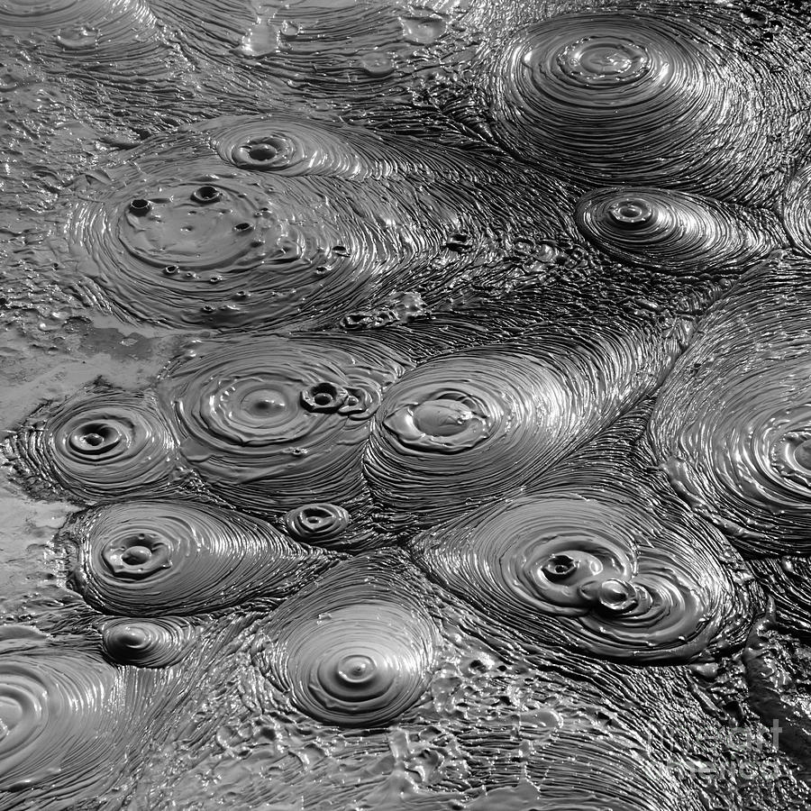 Bubbling mud patterns square format Photograph by James Brunker