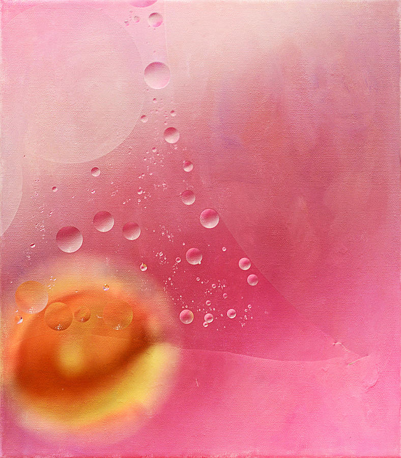 Abstract Photograph - Bubbly 3 by Fraida Gutovich