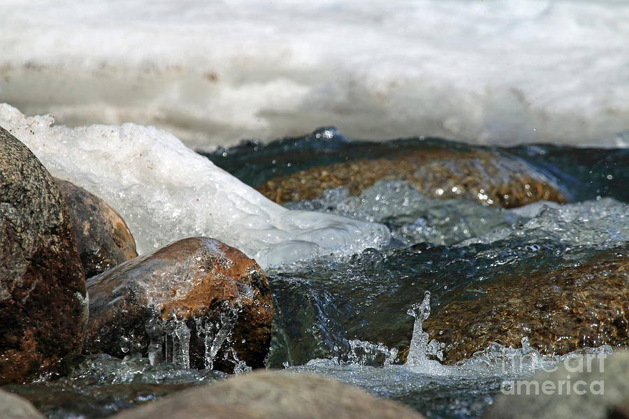 Bubbly and Cold Photograph by Mary Haber