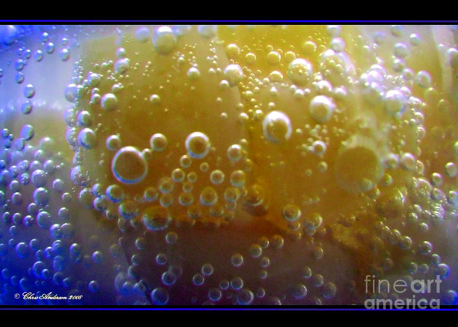 Bubbly Photograph by Chris Anderson