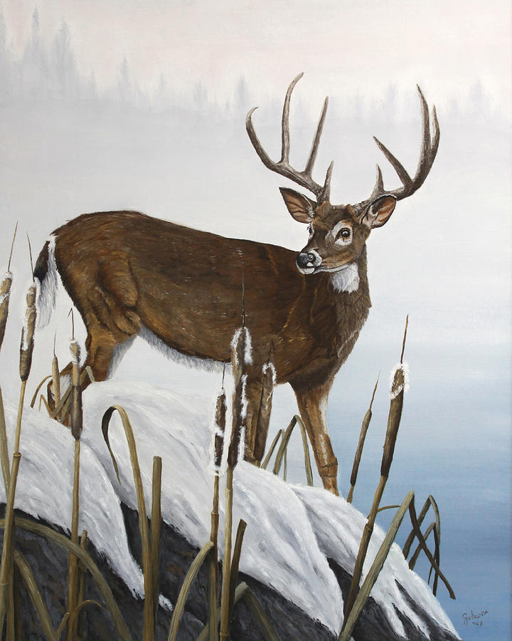Deer Painting - Buck At Waters Edge by Johanna Lerwick