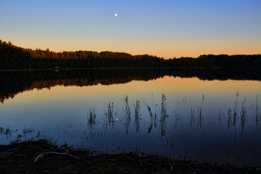 Buck Lake Moonrise Photograph by Dale Kauzlaric