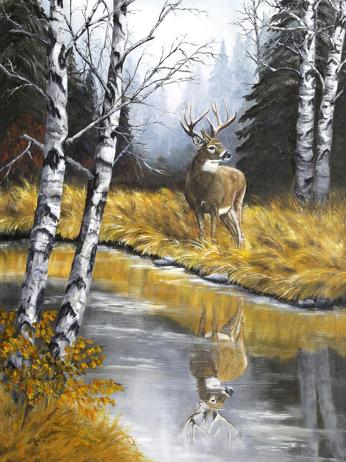Deer Painting - Buck Reflection by Johanna Lerwick