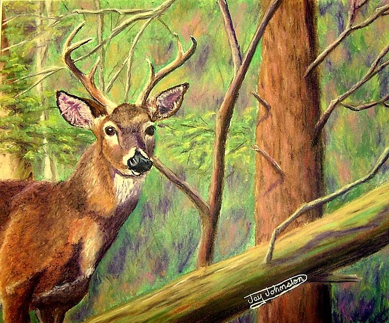 Buck Stare Painting by Jay Johnston