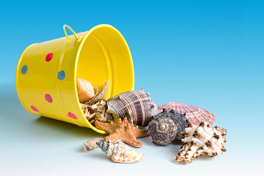 Shell Photograph - Bucket of Seashells Still Life by Tom Mc Nemar