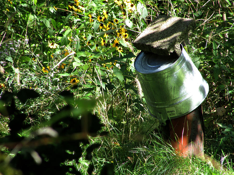 Bucket Stand Photograph by Kimberly Mackowski
