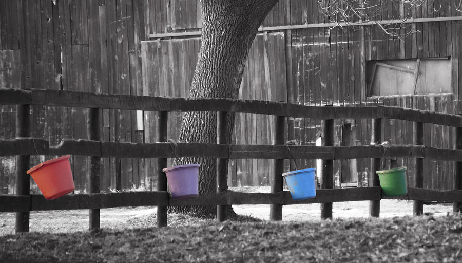 Buckets Photograph by Tracy Winter