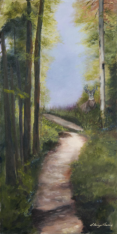 Deer Painting - Buckeye by Shirley Lawing