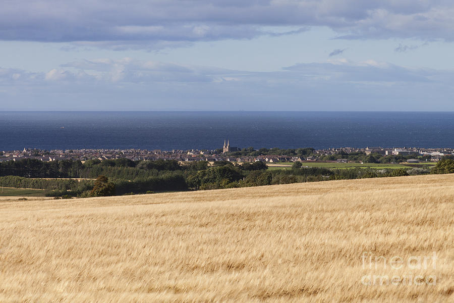 Buckie Photograph by Diane Macdonald Buckie Photograph by Diane Macdonald