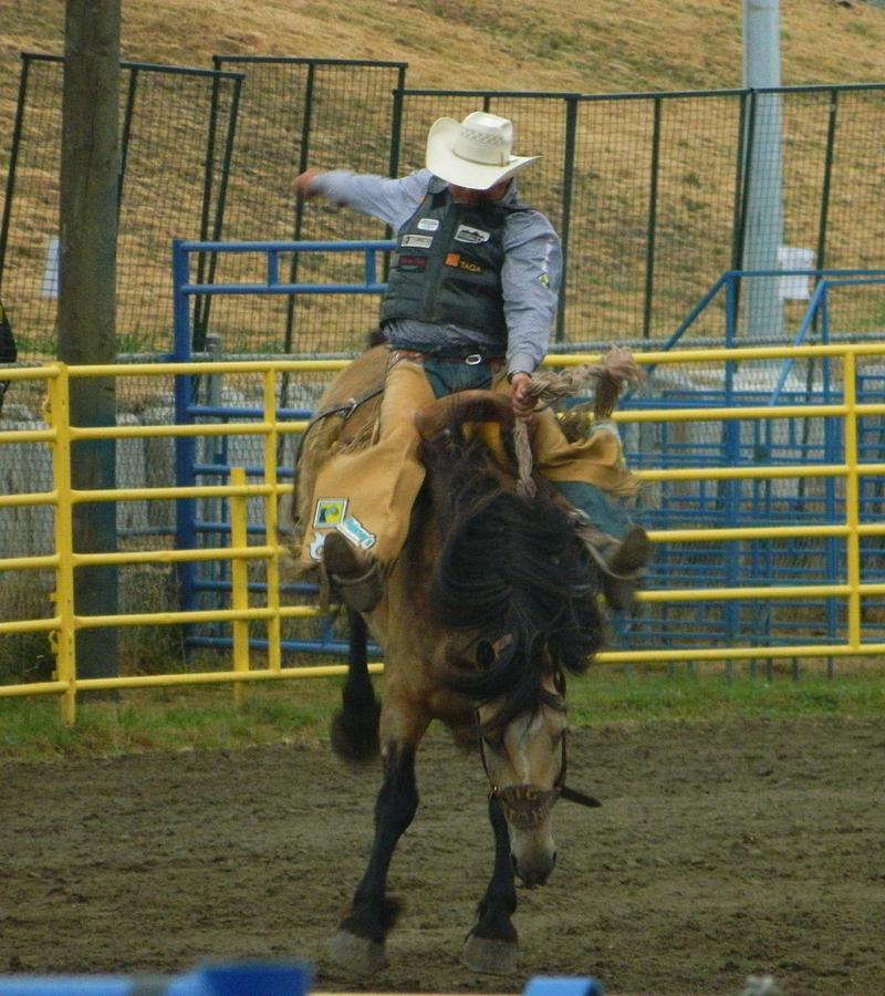 bucking bronco pool float