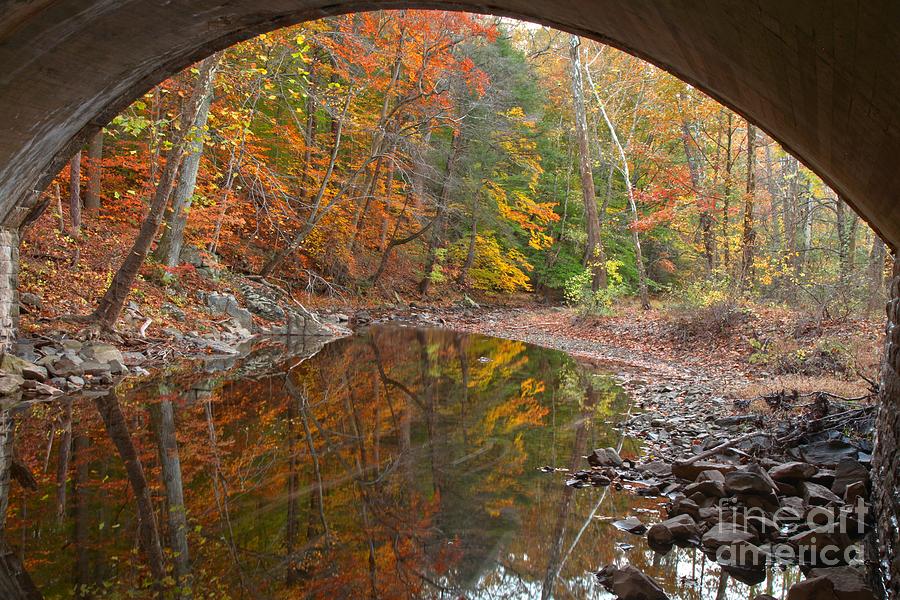 Bucks County Foliage Under The Bridge Photograph by Adam Jewell