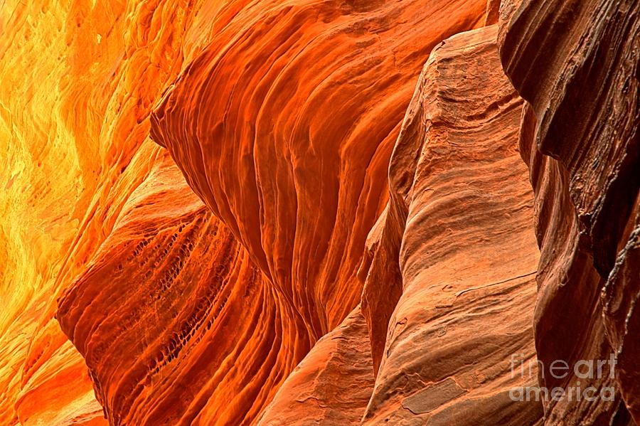 Us National Parks Photograph - Buckskin Fiery Orange by Adam Jewell