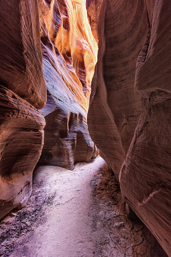 Buckskin Gulch Canyon Page Arizona Photograph by Daniel Osterkamp