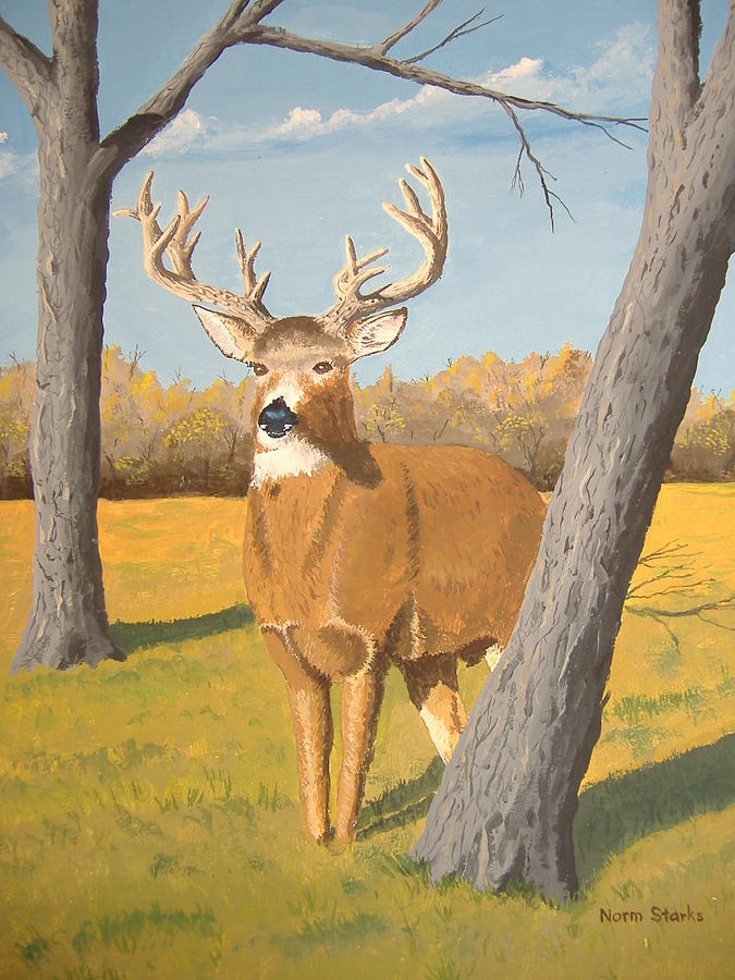 Deer Painting - Bucky the Deer by Norm Starks