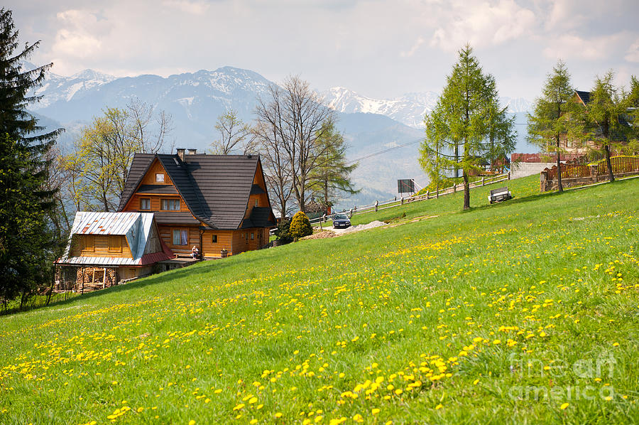 Bucolic spring meadow and wooden house Photograph by Arletta Cwalina