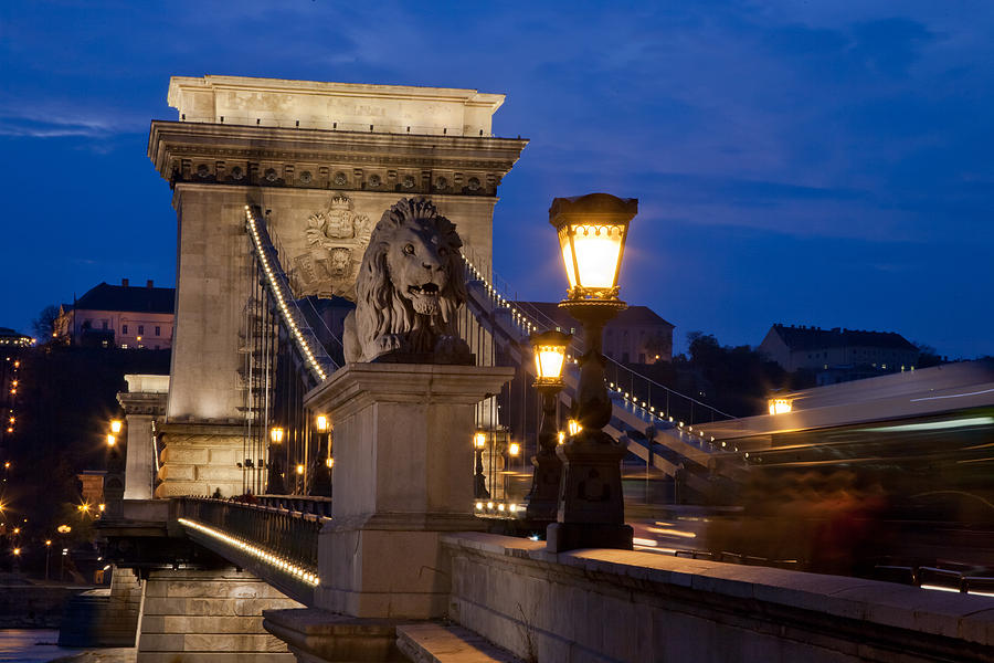 Budapest Bridge with Lion Photograph by Matthew Bamberg